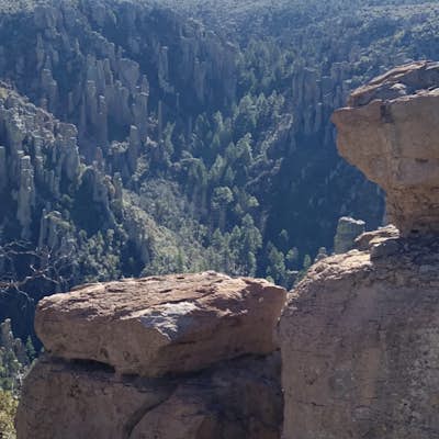 Chiricahua Peak Trail