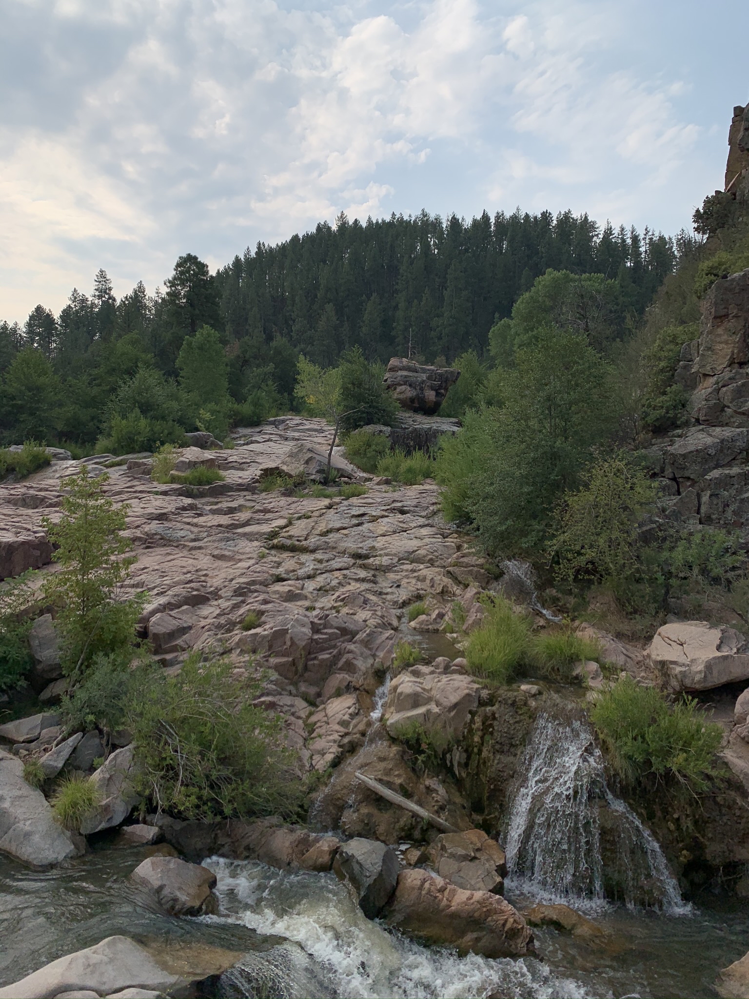 Water Wheel & Ellison Creek Cascades