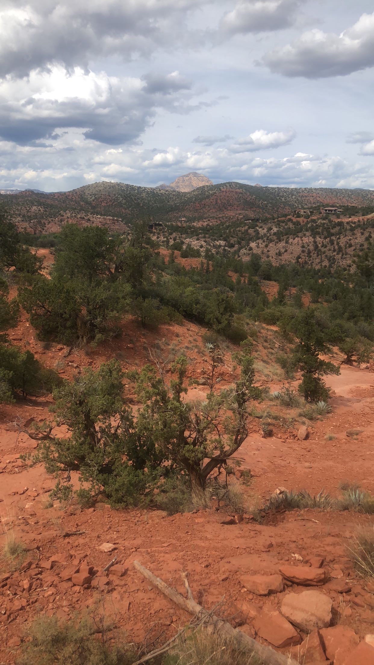 Cathedral Rock