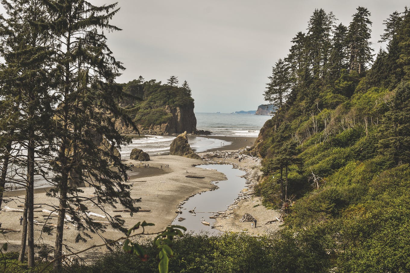 New boat does it all on waters off Washington's Olympic Peninsula