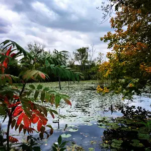Holland Ponds to Yates Cider Mill