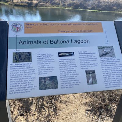 Ballona Lagoon