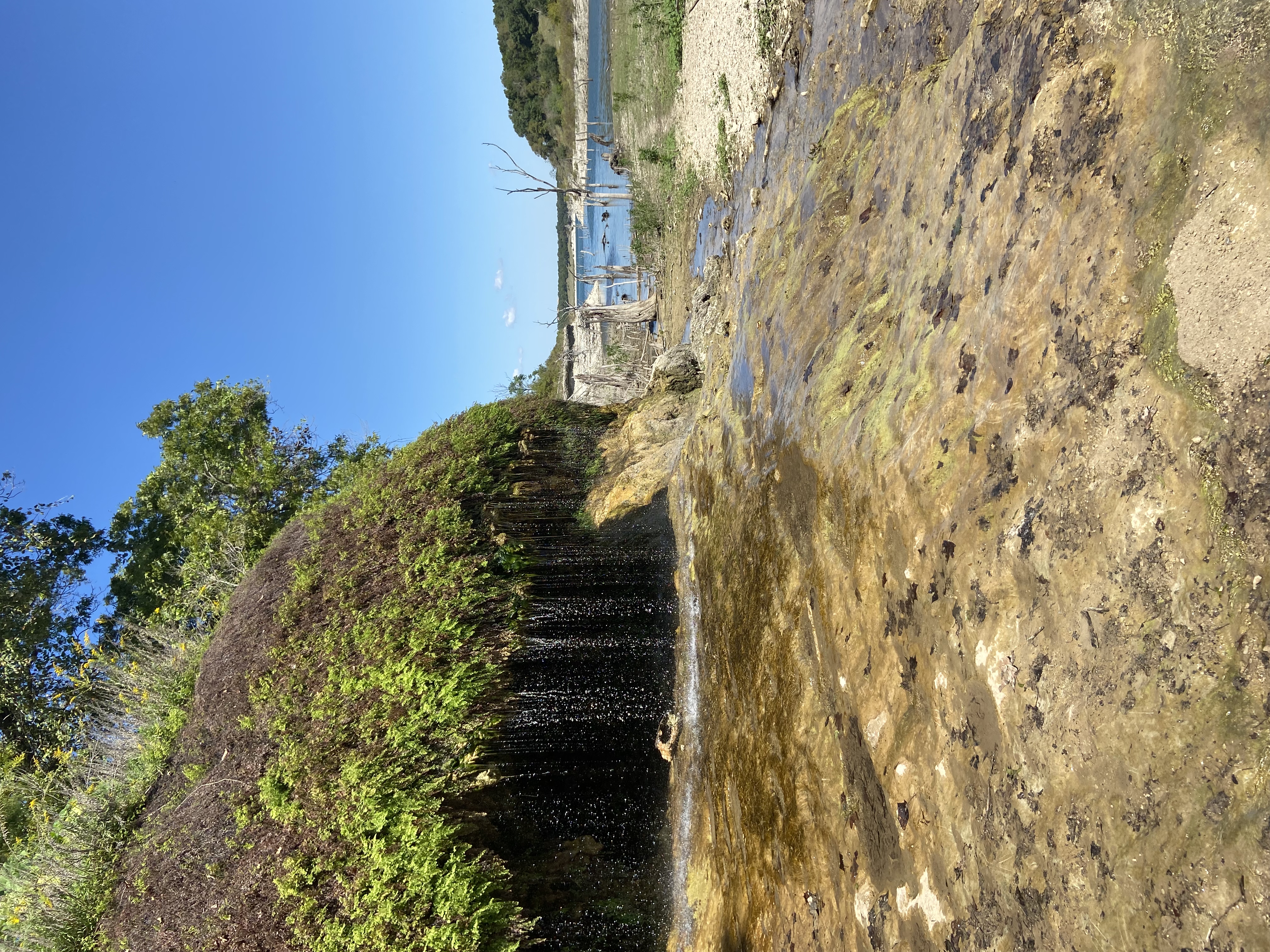 Crockett Gardens and Falls