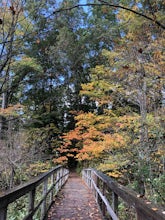 Lake Minnawanna Scenic Trail