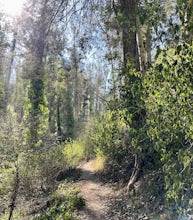 Fairy Gates Trail