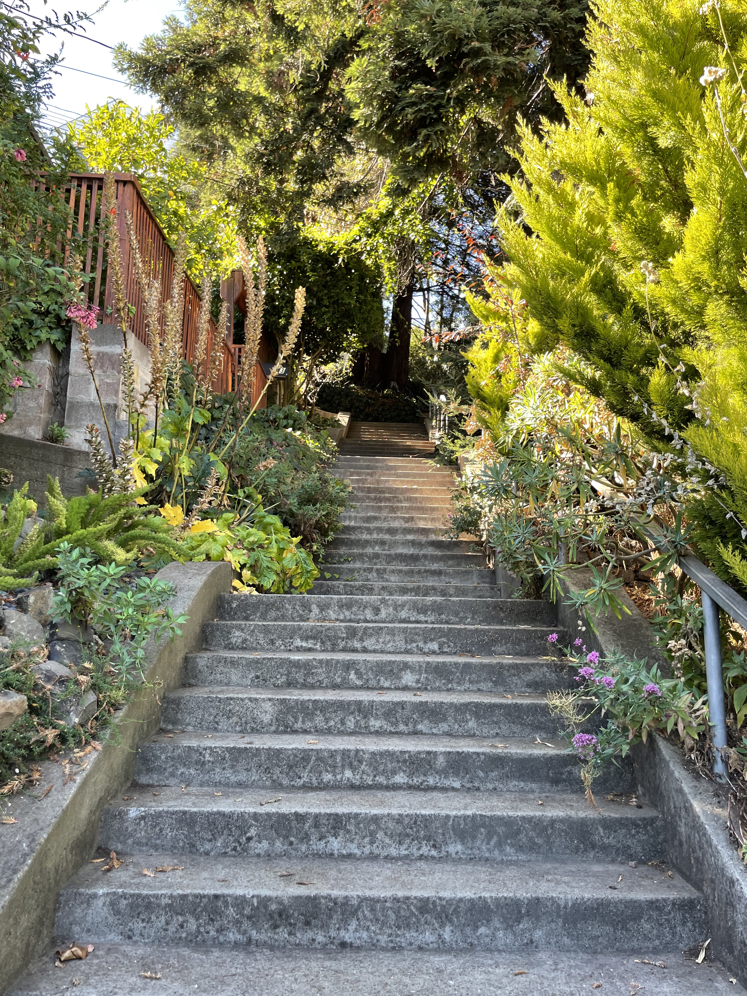 Vulcan Steps