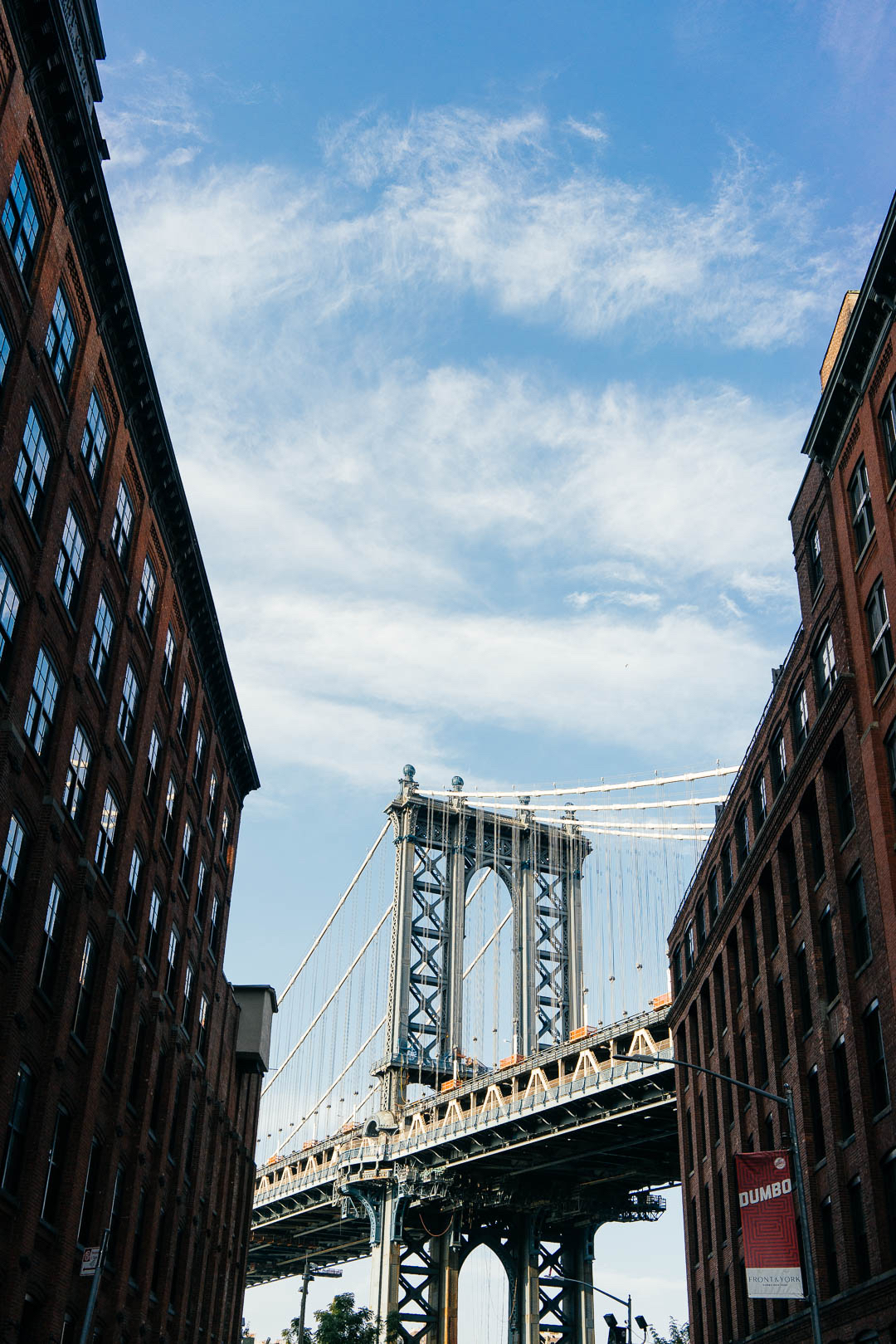 Photograph Manhattan Bridge from Washington Street NYC
