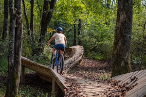 Pedaling Through North Carolina's Scenic Yadkin Valley