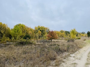 Ragle Ranch Extended Loop