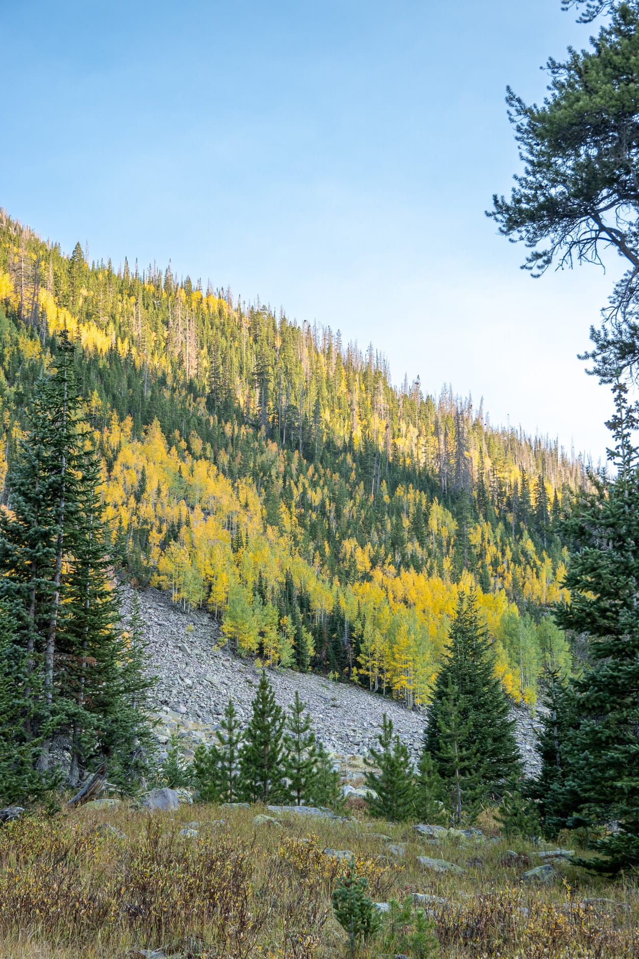 Kermsuh Lake Trail