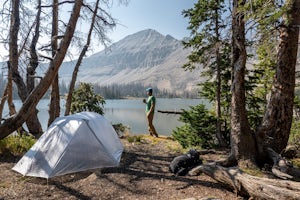 Backpack to Ryder Lake