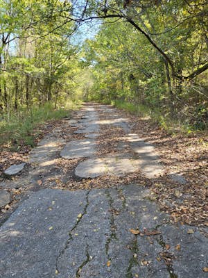 Greenleaf Trail Loop (Lower Segment)