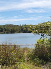 Greenleaf Trail Loop (Lower Segment)