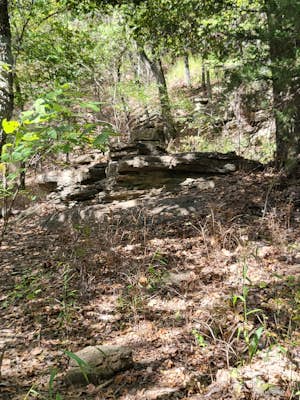 Greenleaf Trail Loop (Lower Segment)