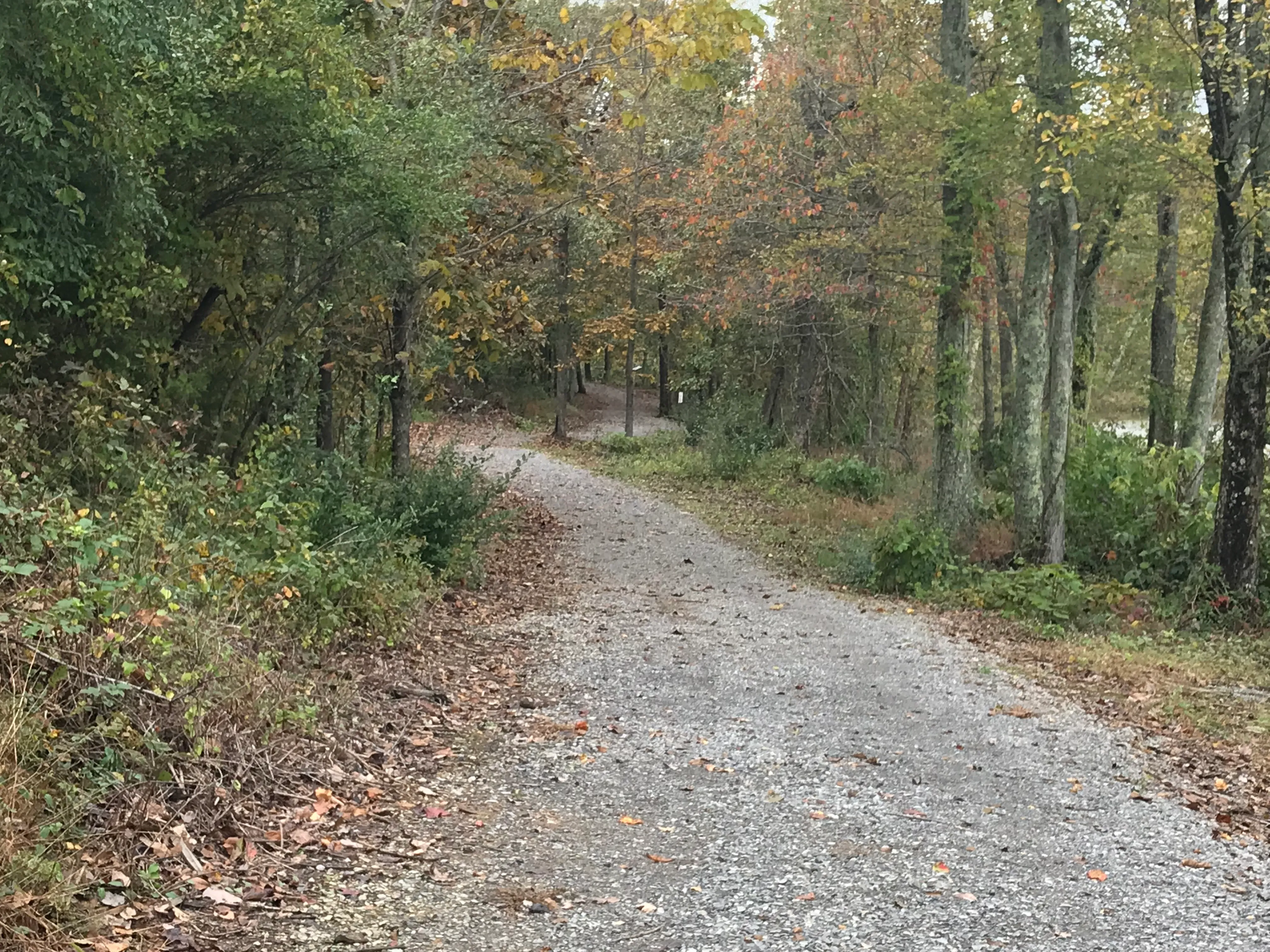 Arrowhead Lake Trail