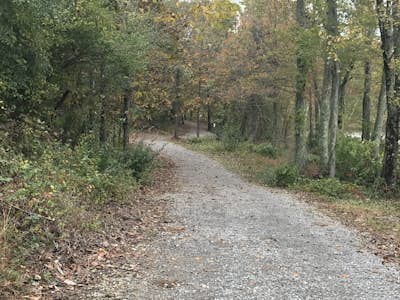 Arrowhead Lake Trail