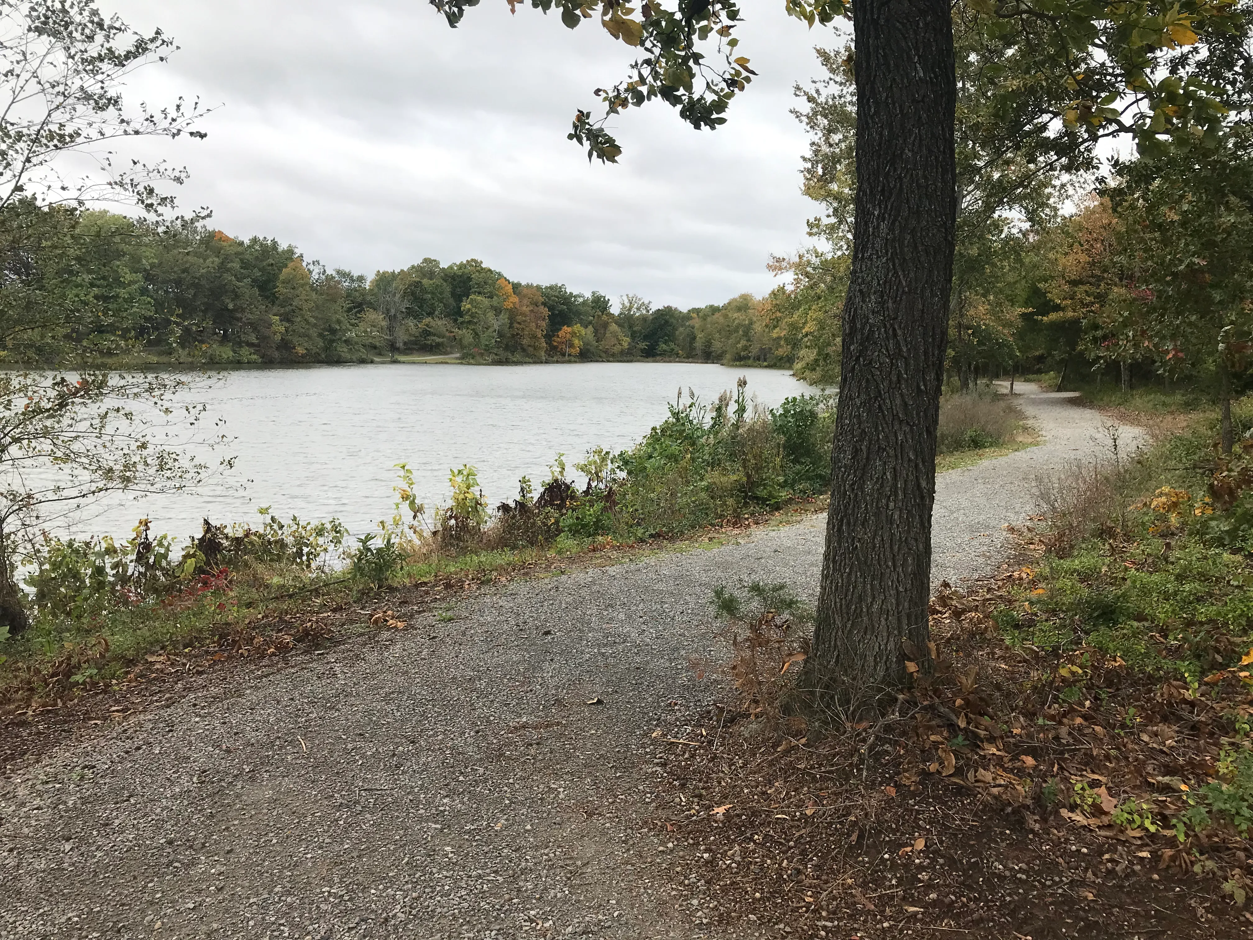 Arrowhead Lake Trail