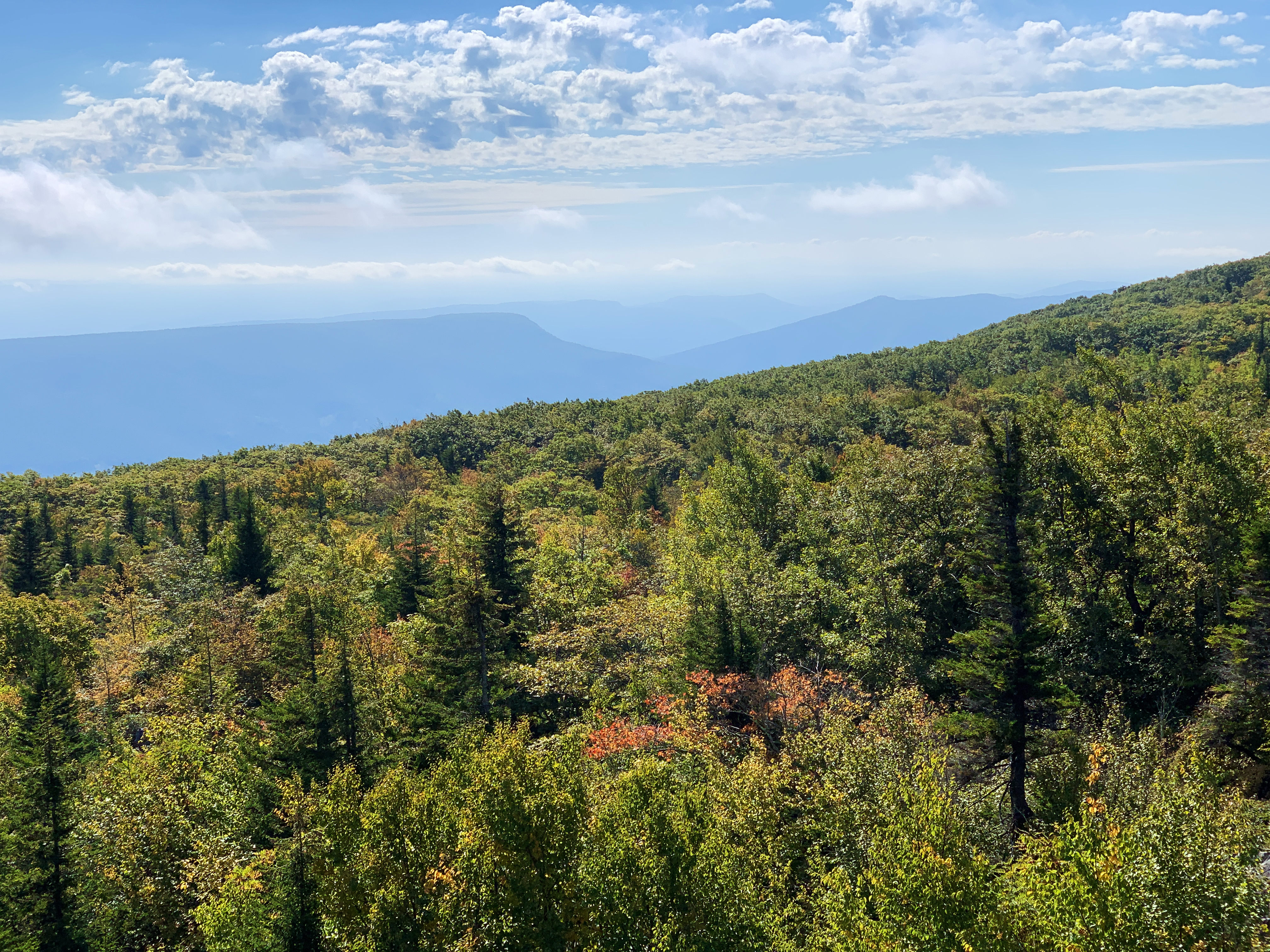 Bear Rocks Loop
