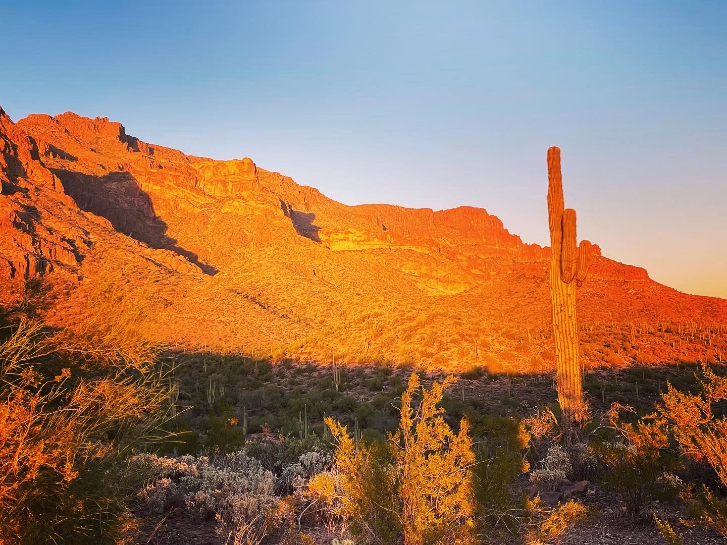 Hieroglyphic Trail