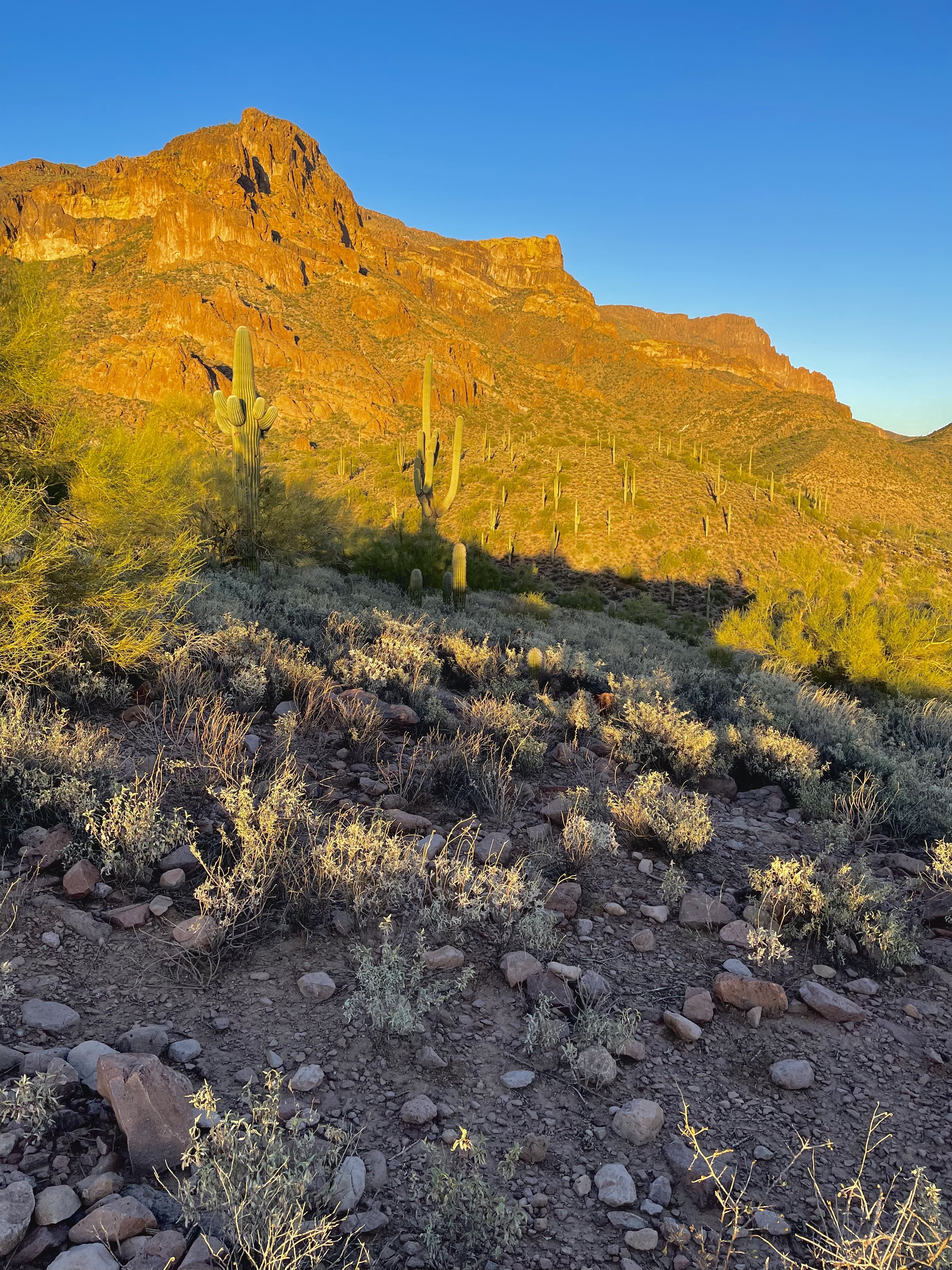 Hieroglyphic Trail