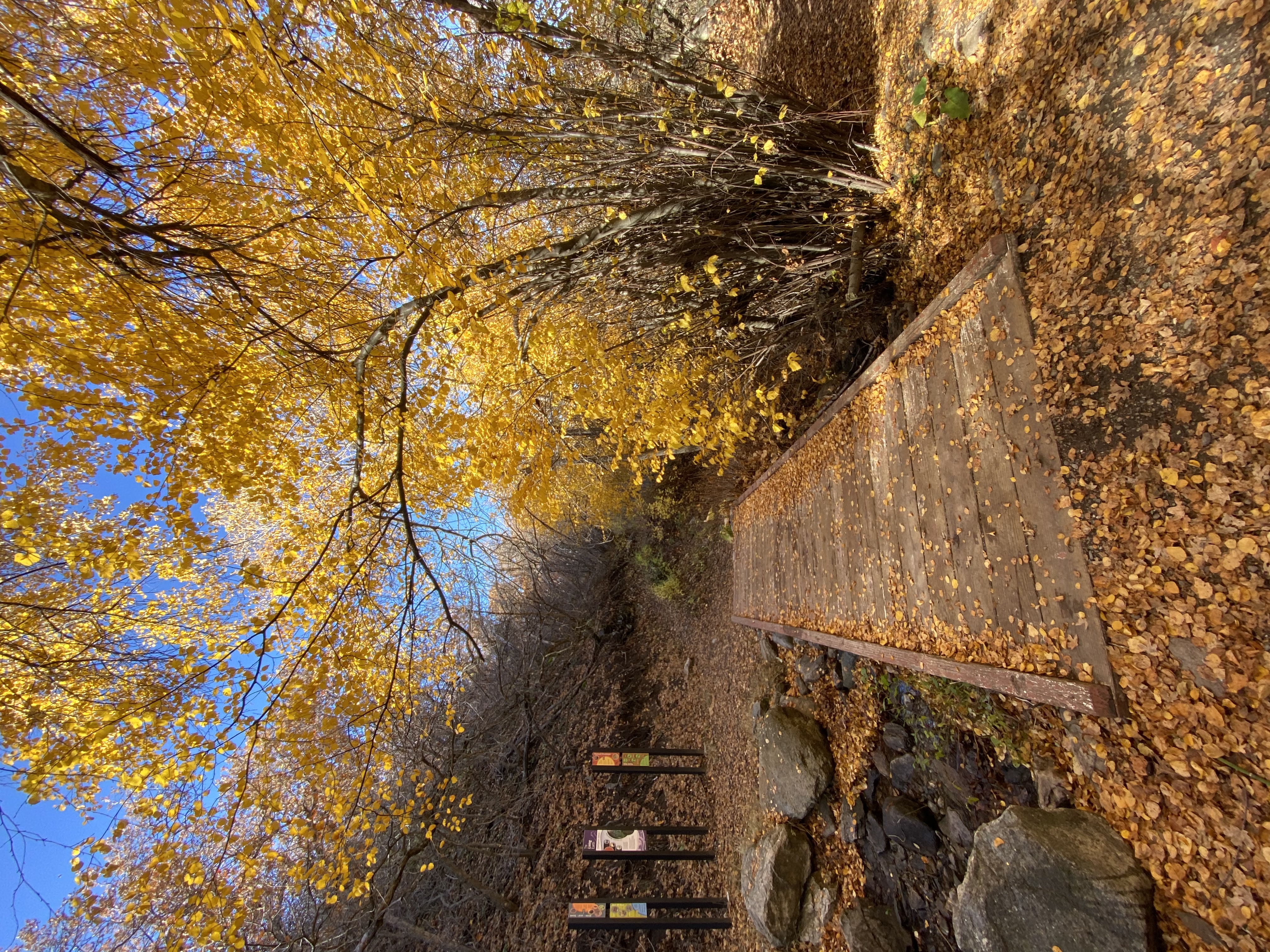 Waterfall Canyon Trail via Ogden Park