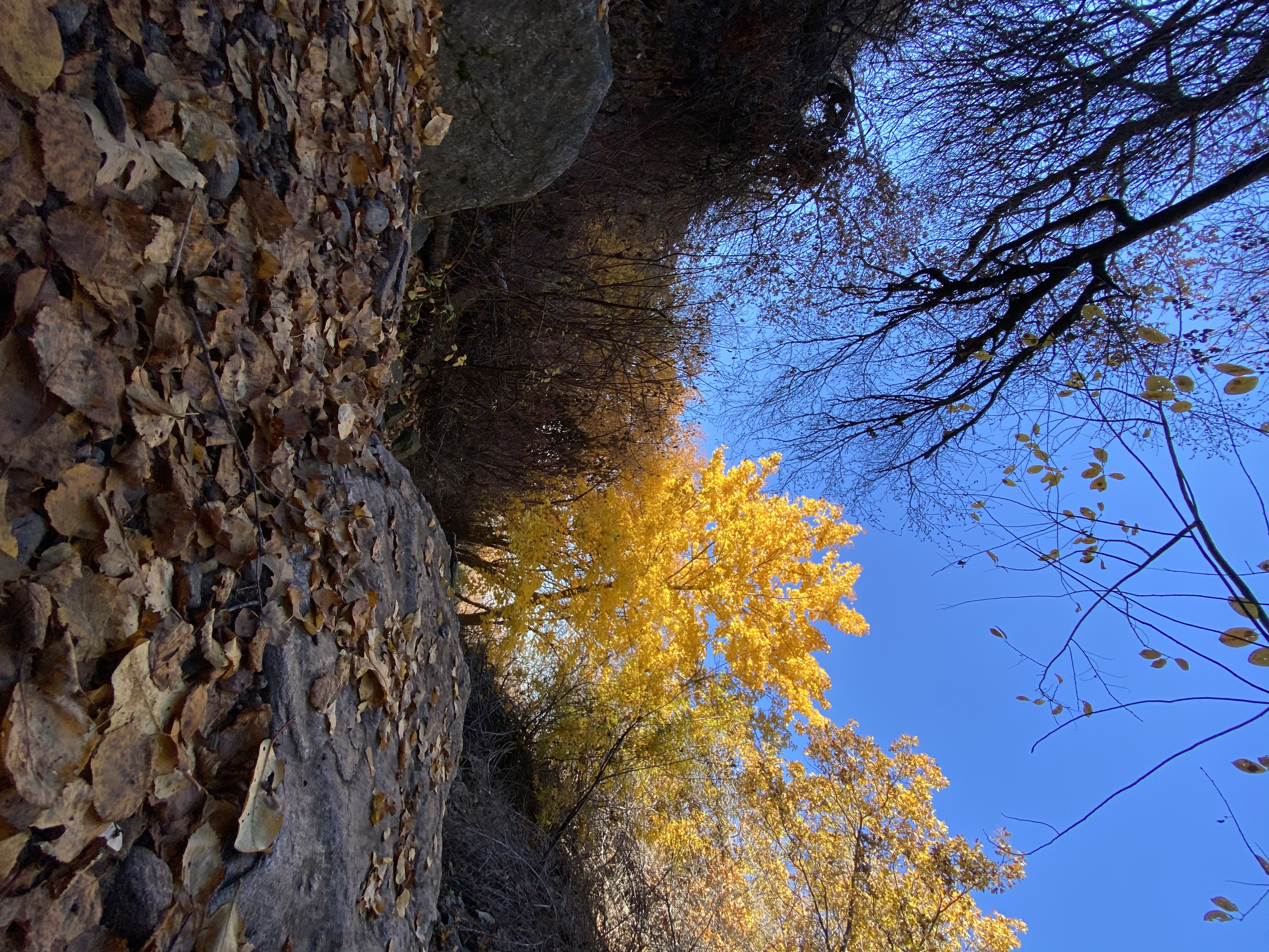 Waterfall Canyon Trail via Ogden Park