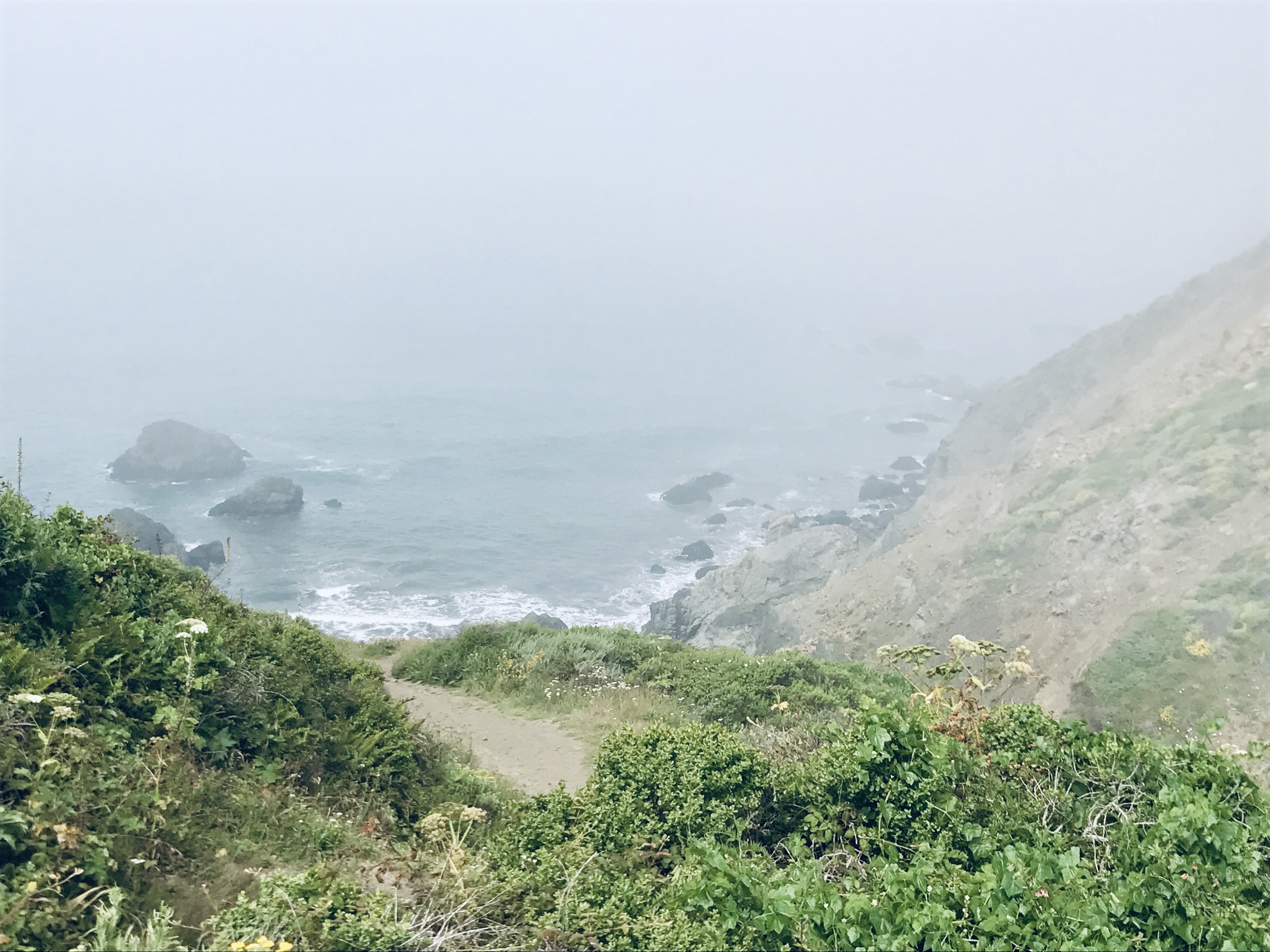 Pirate's Cove