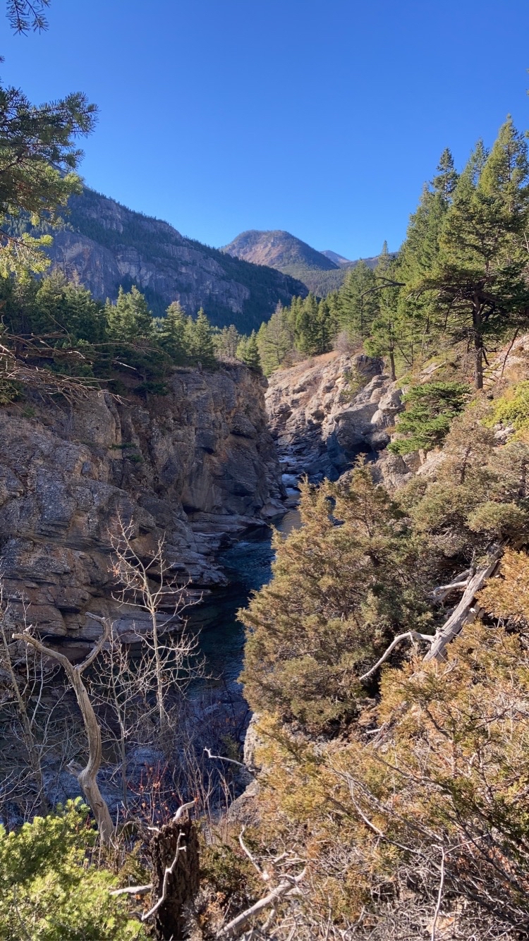 Devil's Glen - Dearborn 206