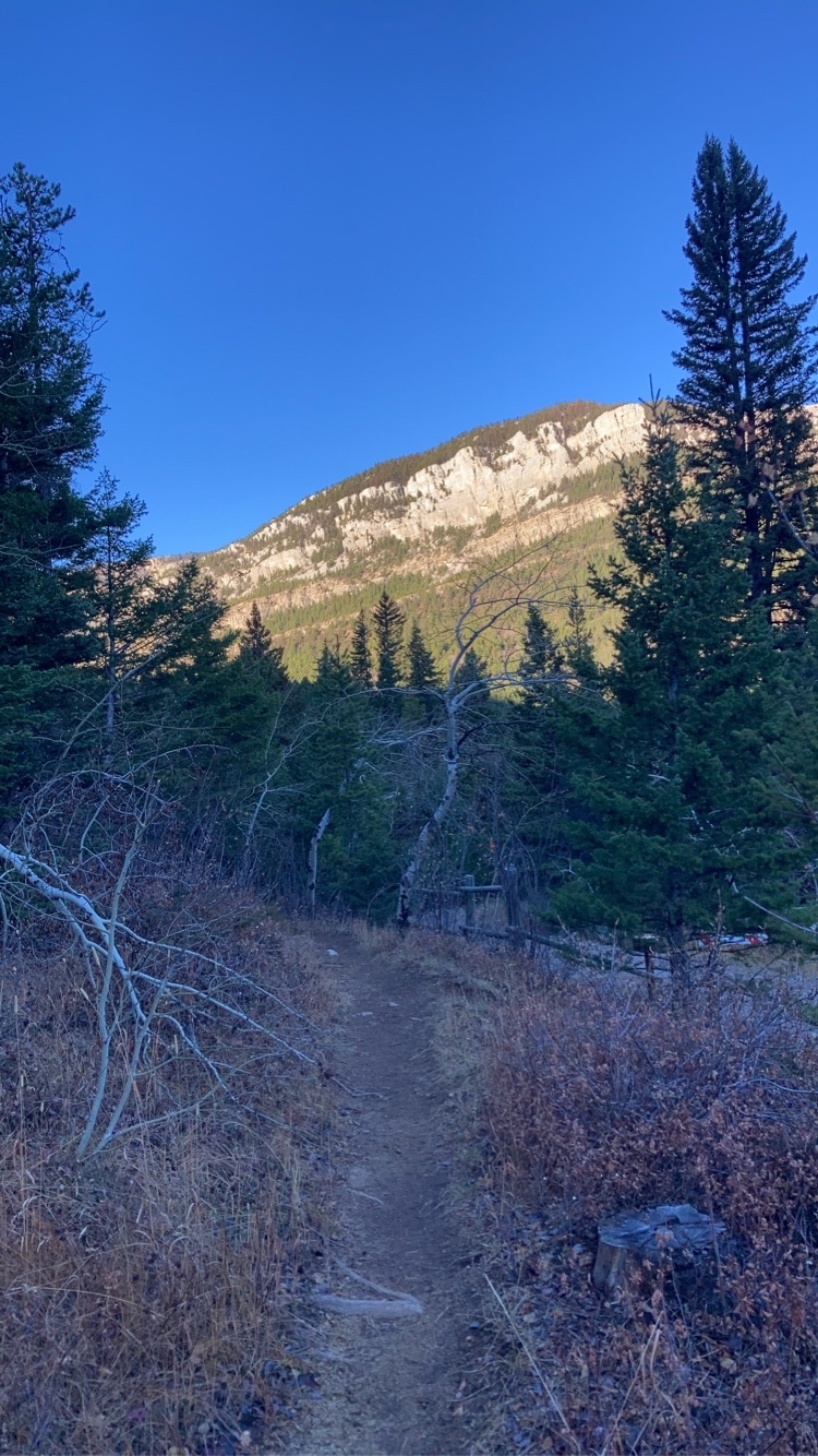 Devil's Glen - Dearborn 206