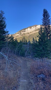 Devil's Glen - Dearborn 206