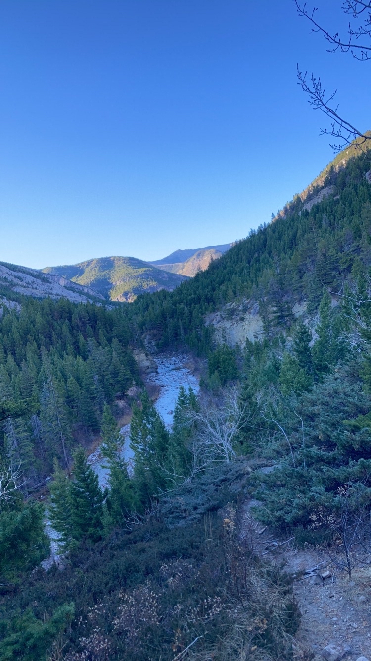 Devil's Glen - Dearborn 206