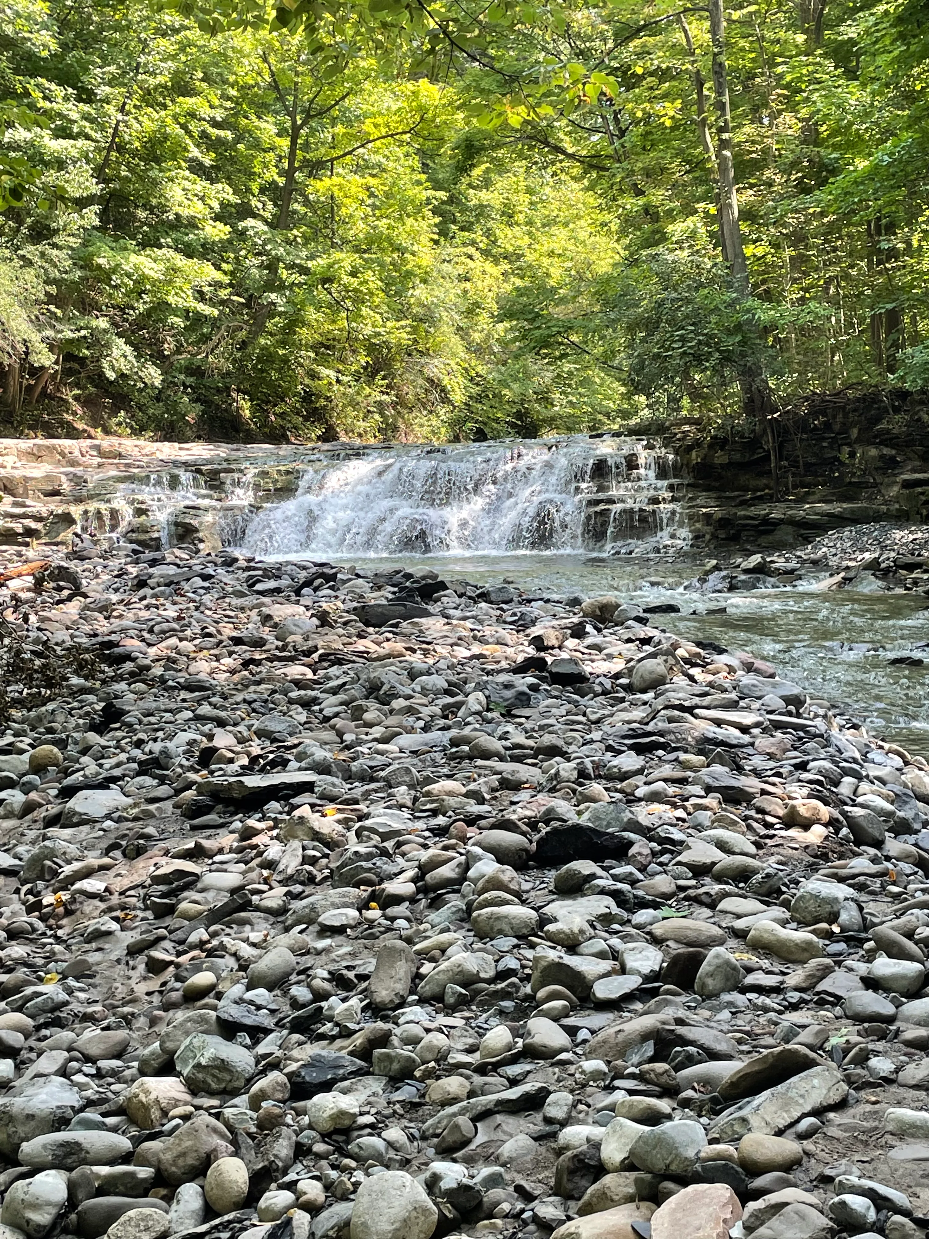 Great Gully Falls Trail