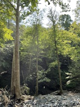 Great Gully Falls Trail