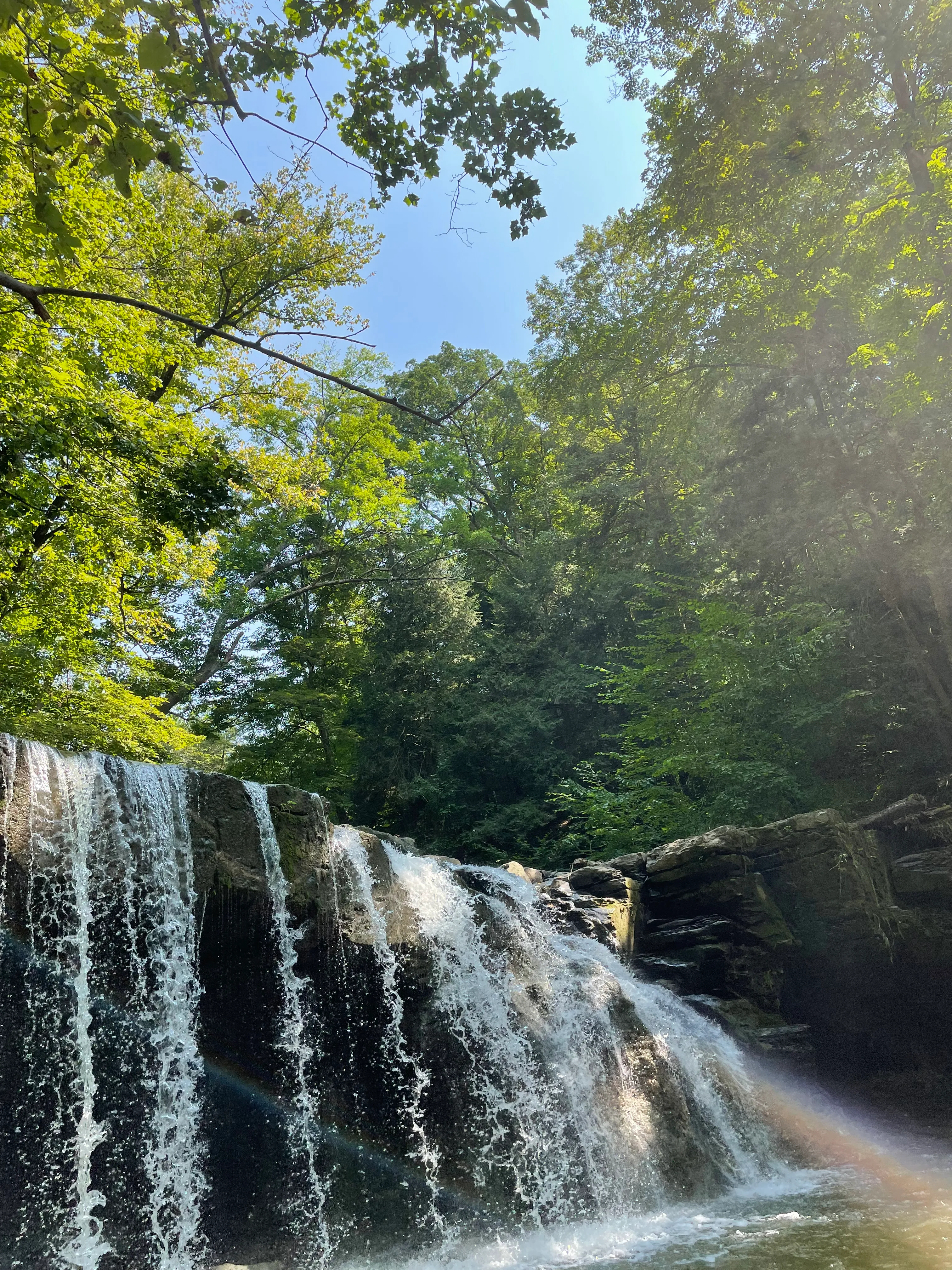 Great Gully Falls Trail