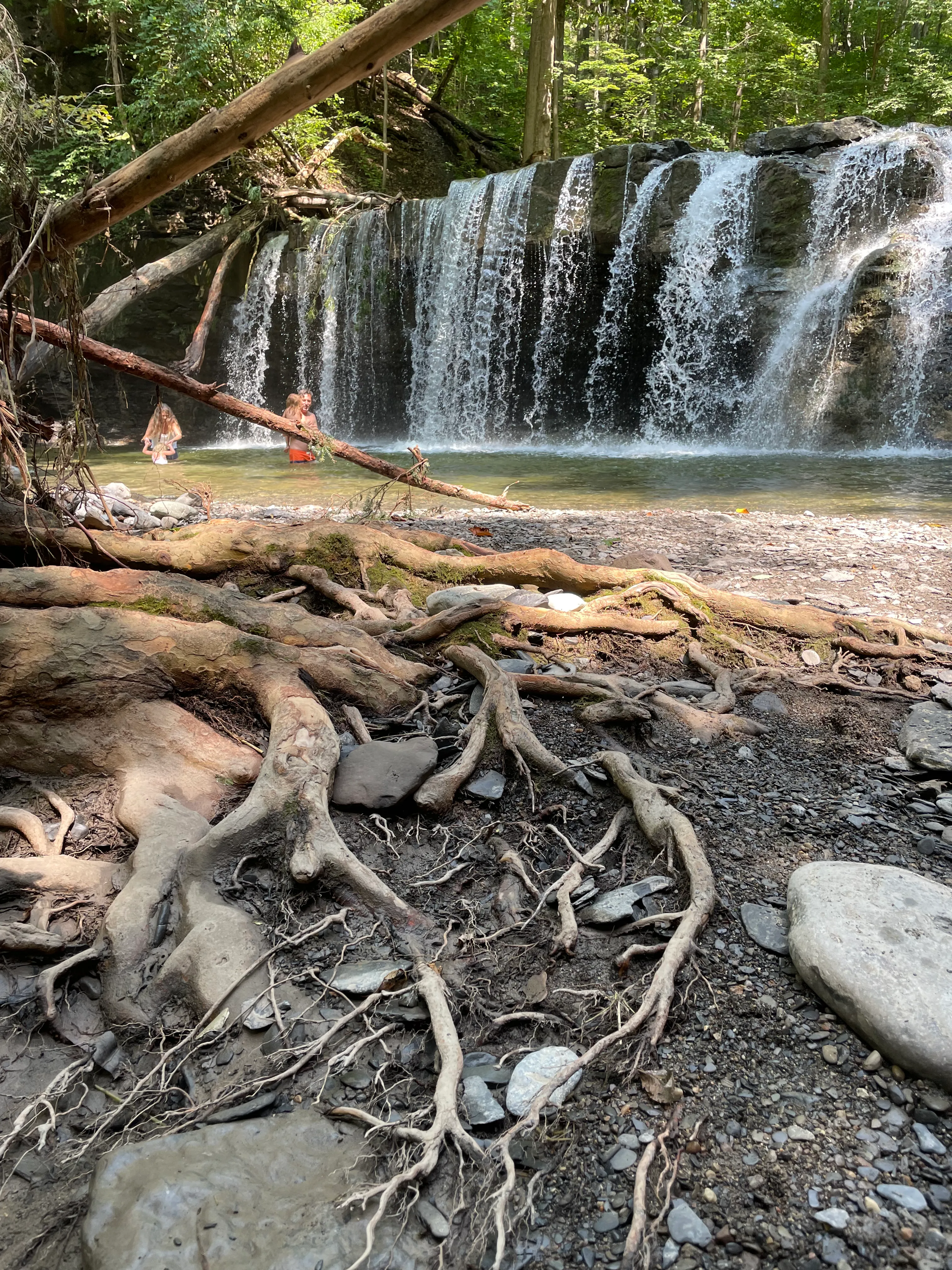 Great Gully Falls Trail