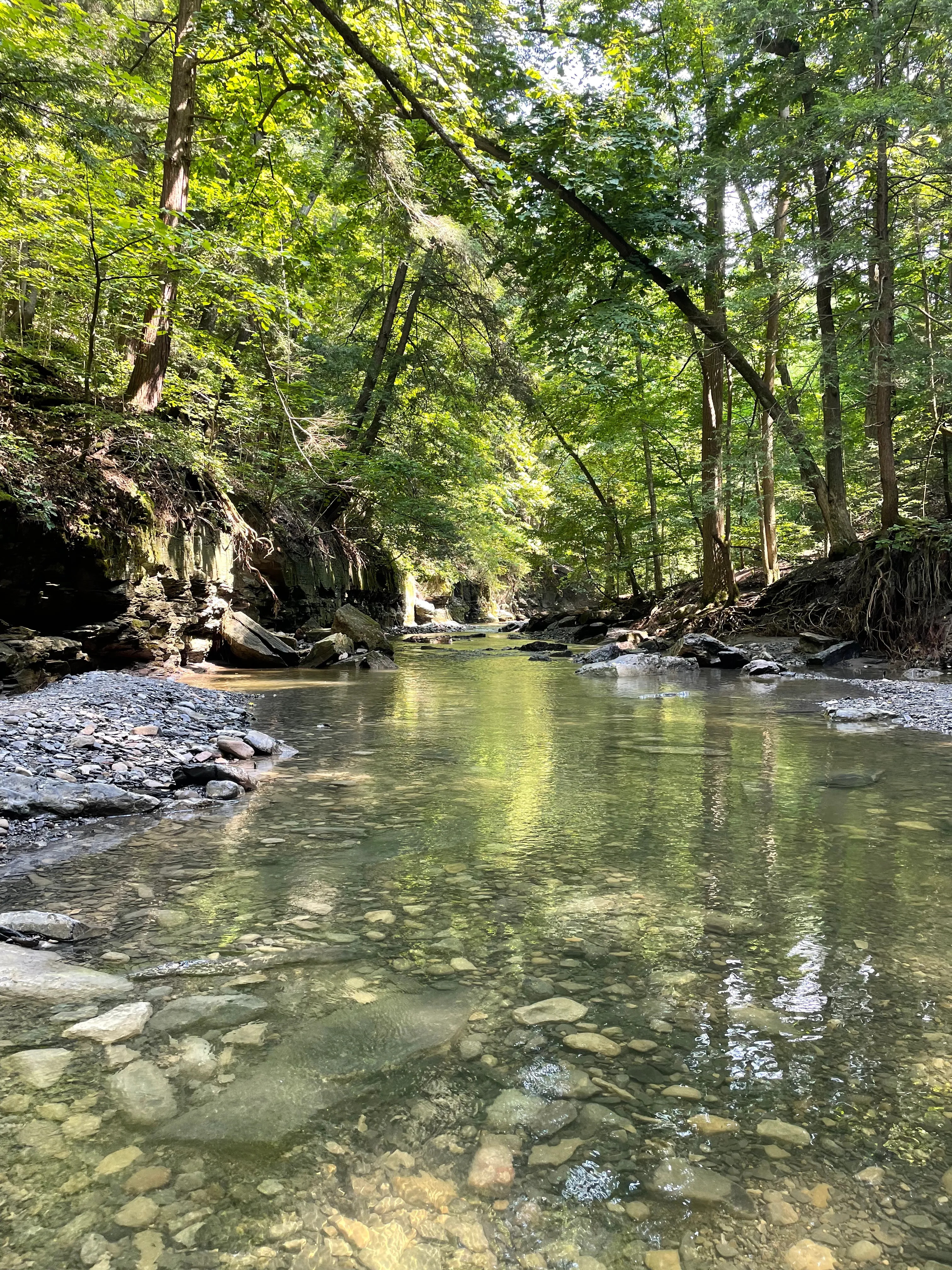 Great Gully Falls Trail