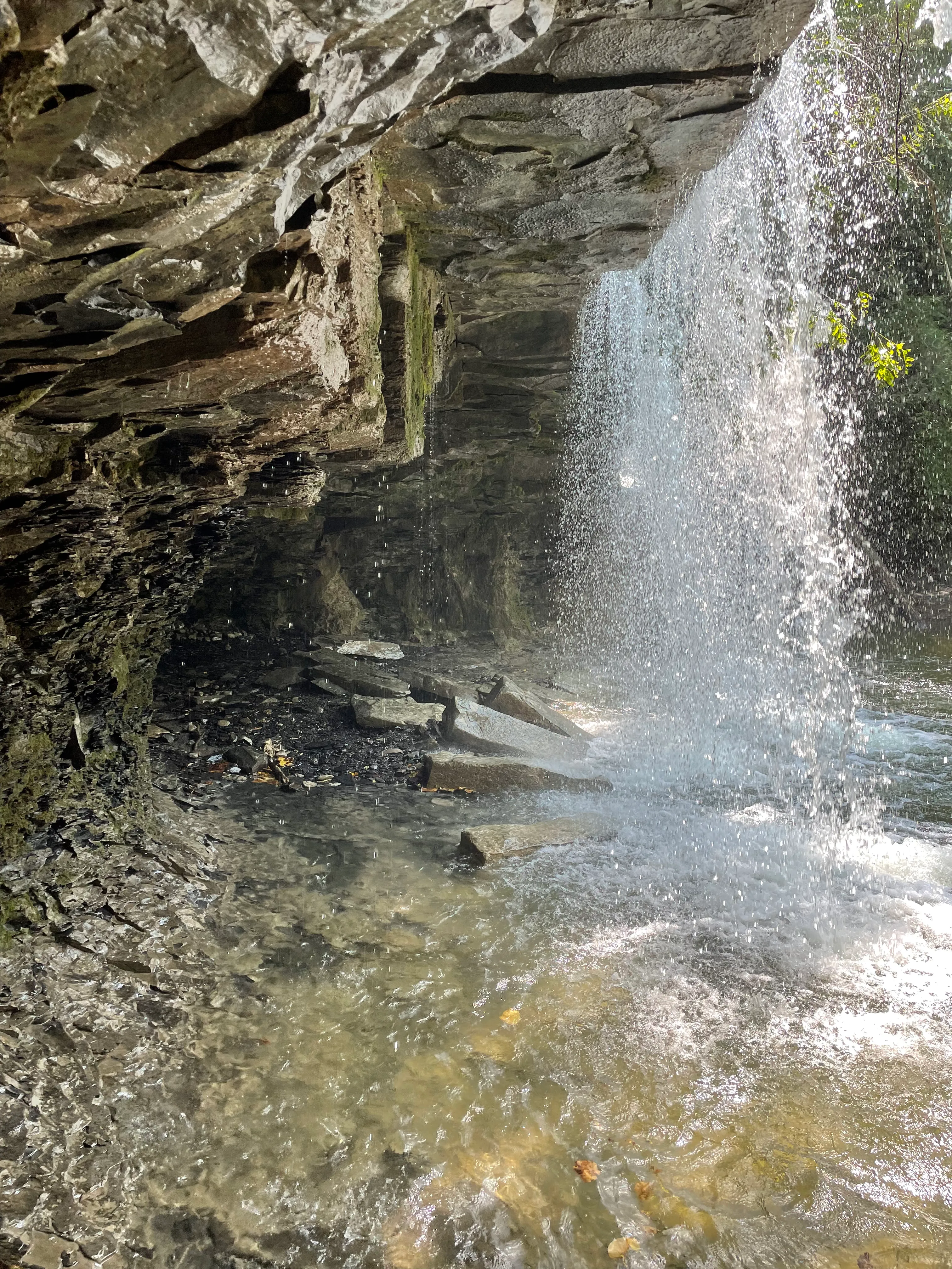 Great Gully Falls Trail