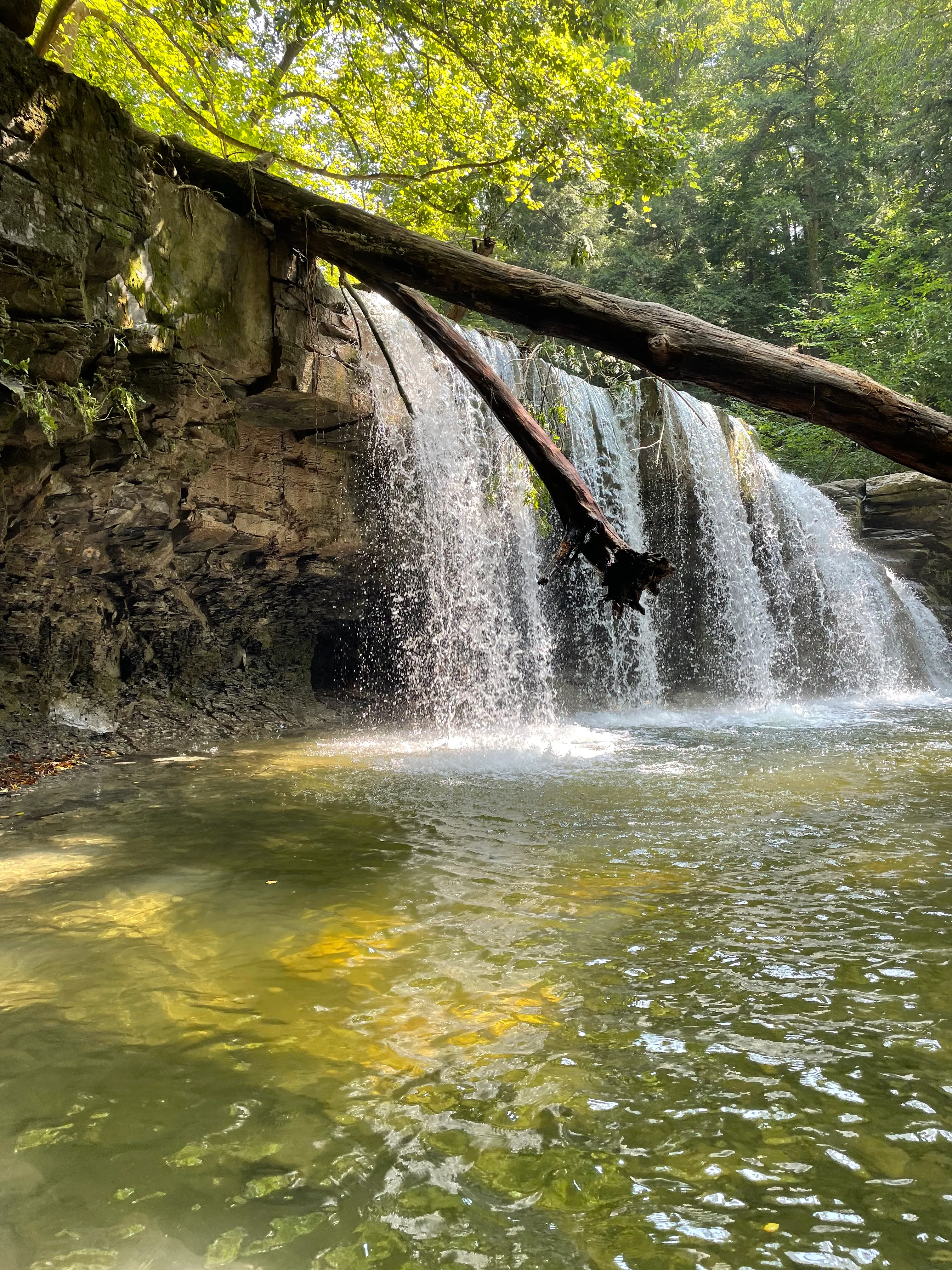 Great Gully Falls Trail
