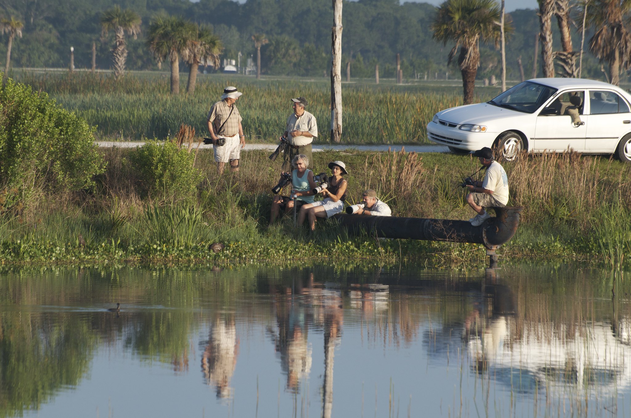 Ritch Grissom Memorial Wetlands