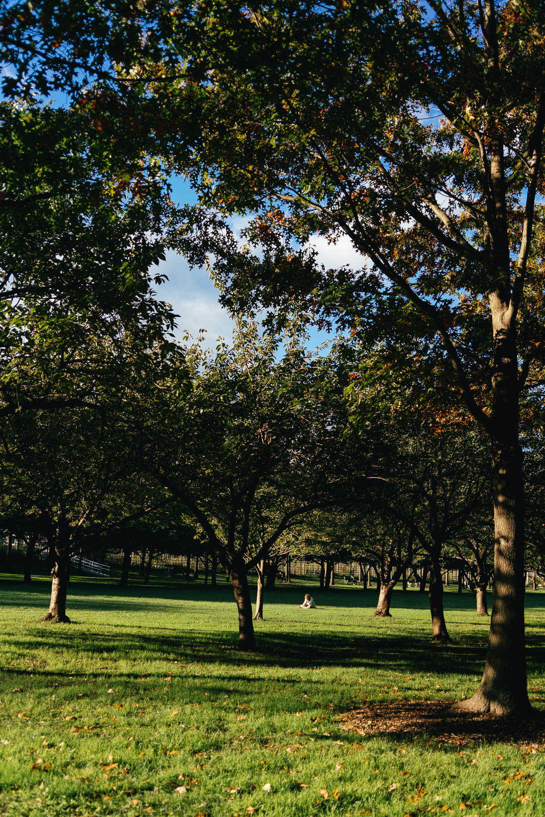Brooklyn Botanical Gardens