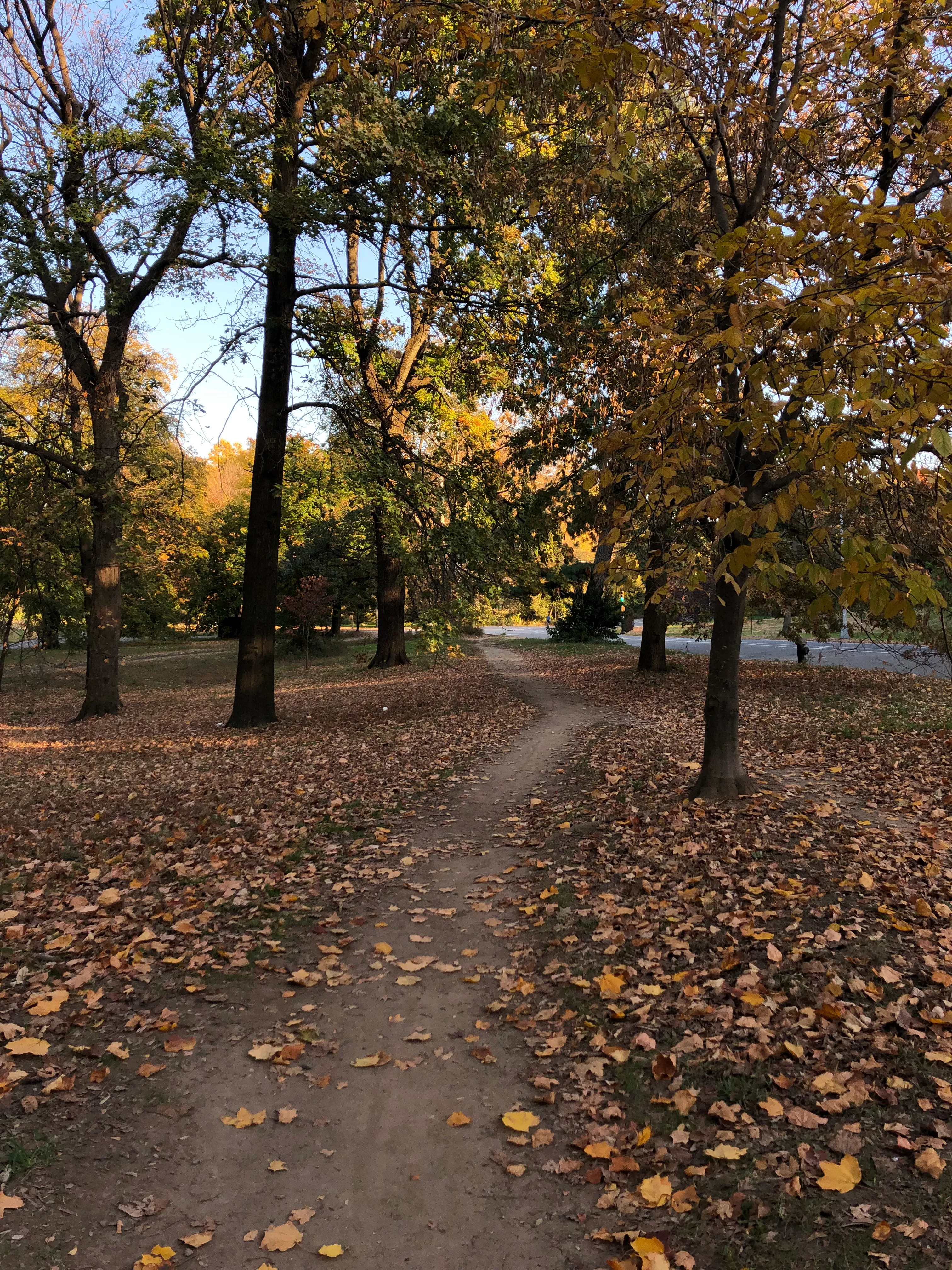 Prospect Park Loop