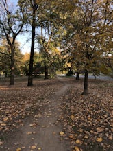 Prospect Park Loop