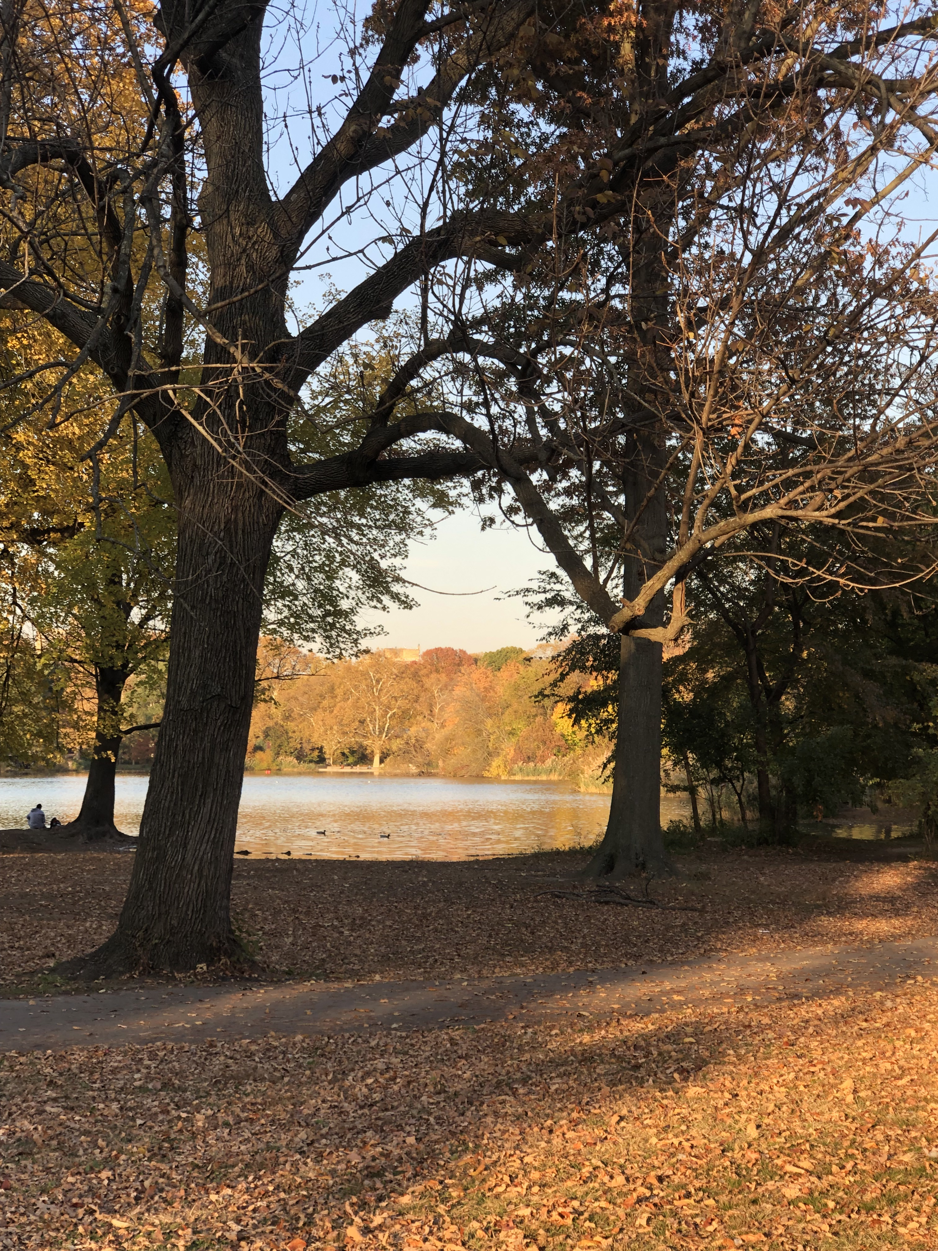 Prospect Park Lake Loop