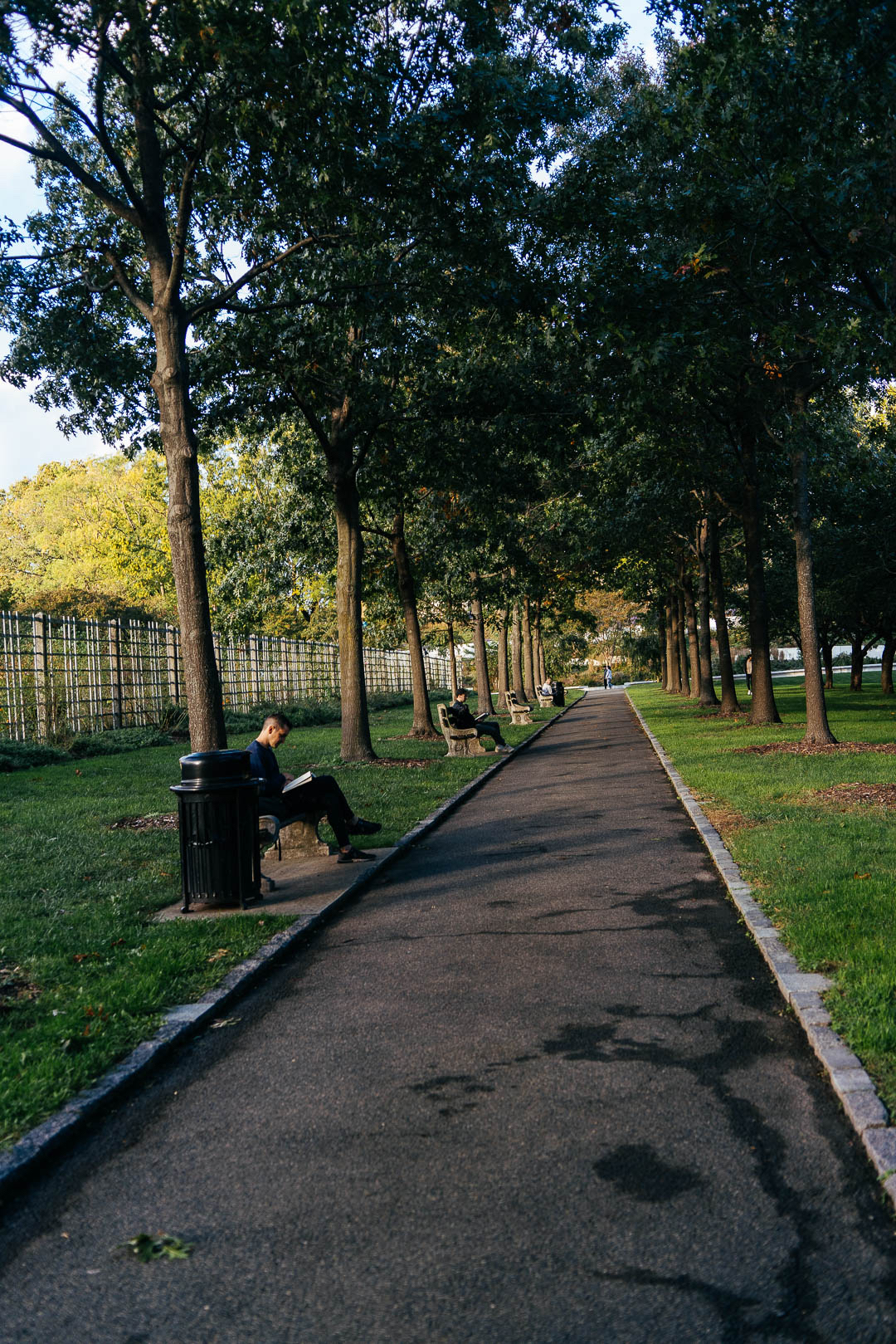 Brooklyn Botanical Gardens