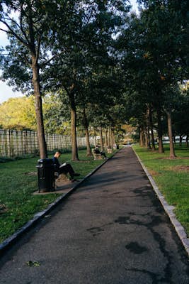 Brooklyn Botanical Gardens