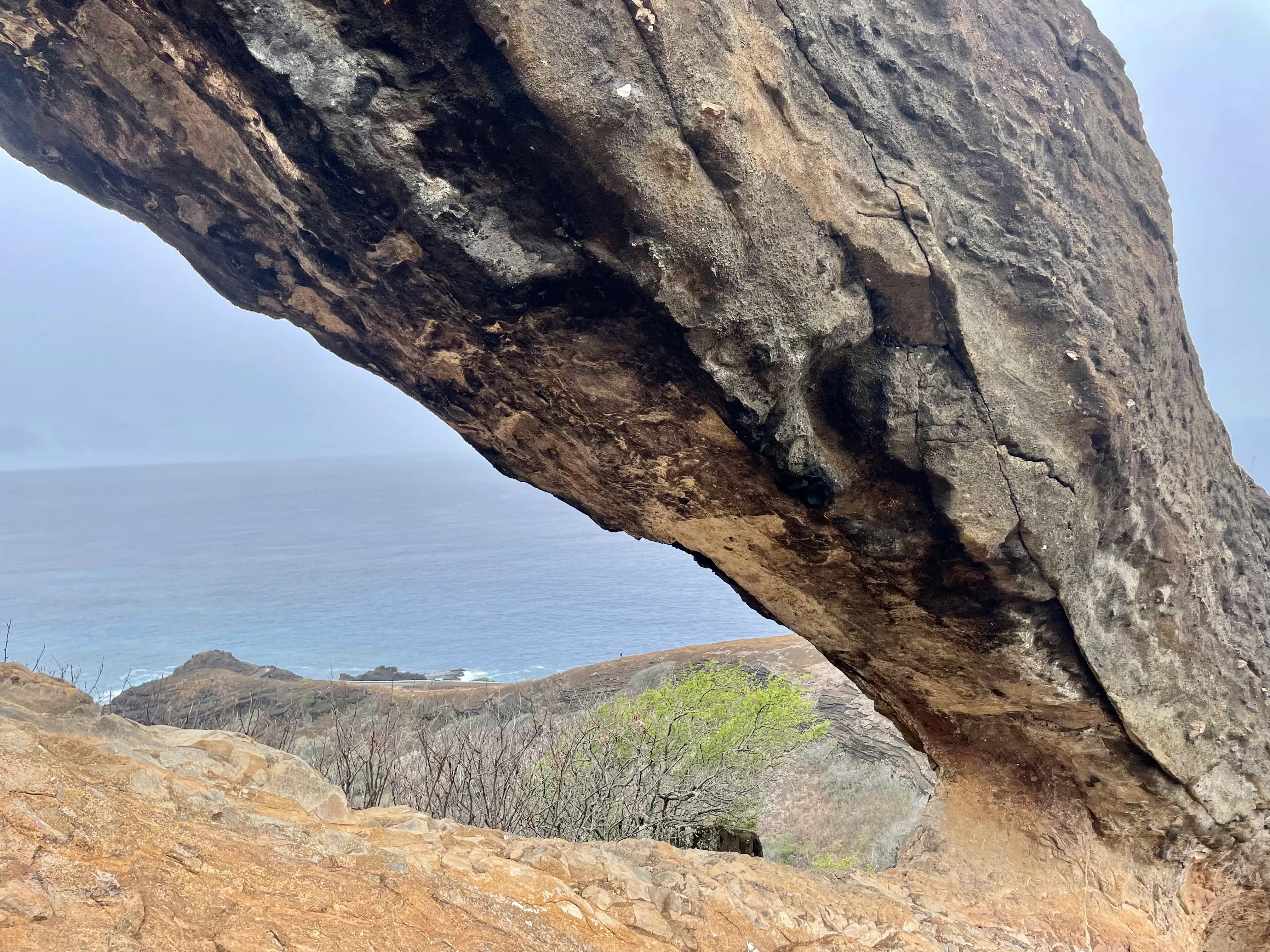 Koko Crater Arch via Halona Blowhole Lookout
