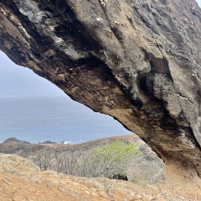 Koko Crater Arch via Halona Blowhole Lookout