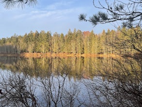 Conservation Island Nature Trail