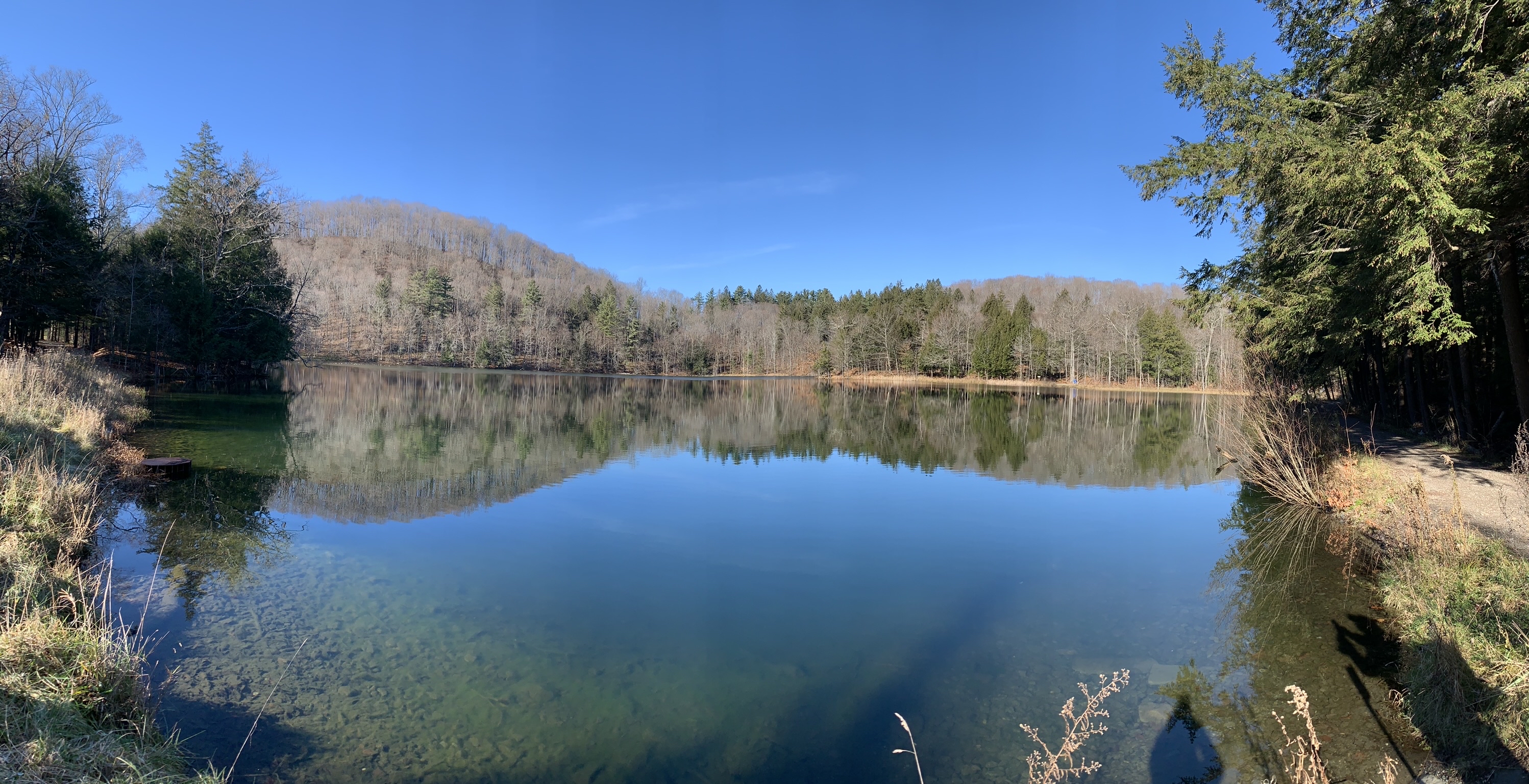The Pogue and Mount Tom Trail, Woodstock, Vermont