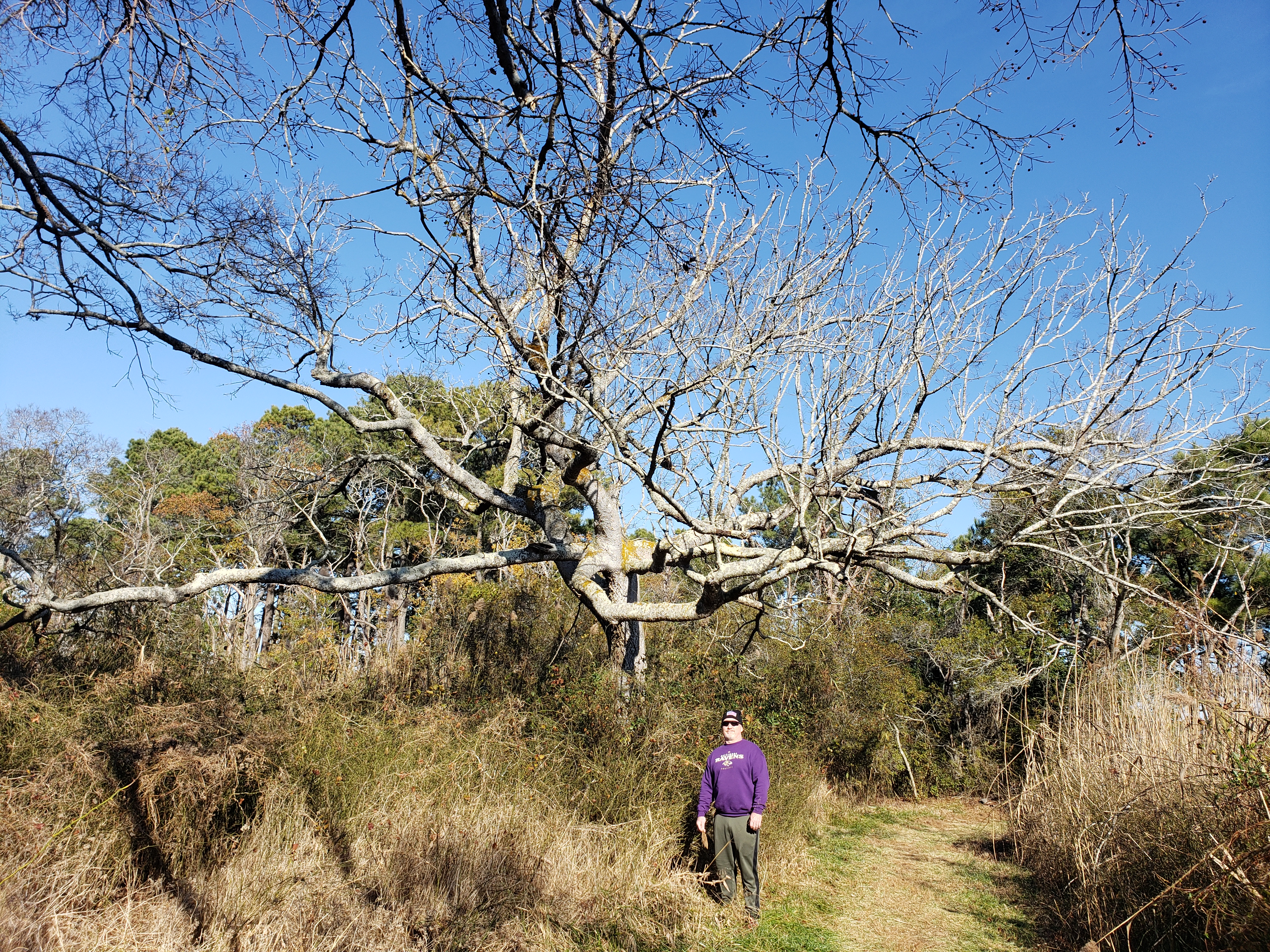 Hike the Burton Island Trail